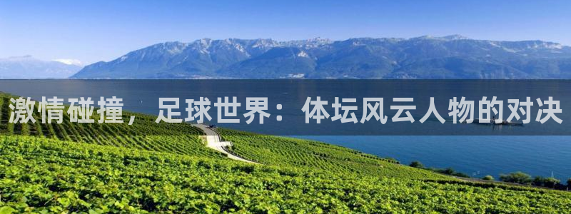 v66体育是什么：激情碰撞，足球世界：体坛风云人物的对决