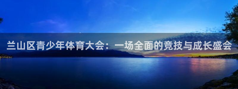 v66体育平台是正规的吗：兰山区青少年体育大会：一场全面的竞技与成长盛会